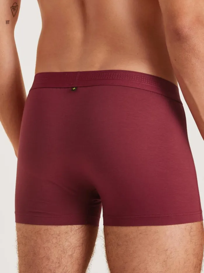 CALIDA Functionalunderwear Boxer Brief Mars Red 8211 Men