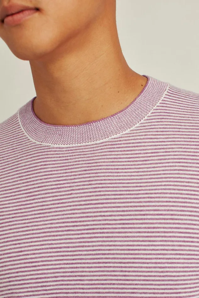 Men Crew and VNeck Sweaters Bonobos Soft Air Novelty Crew Plum Stripe