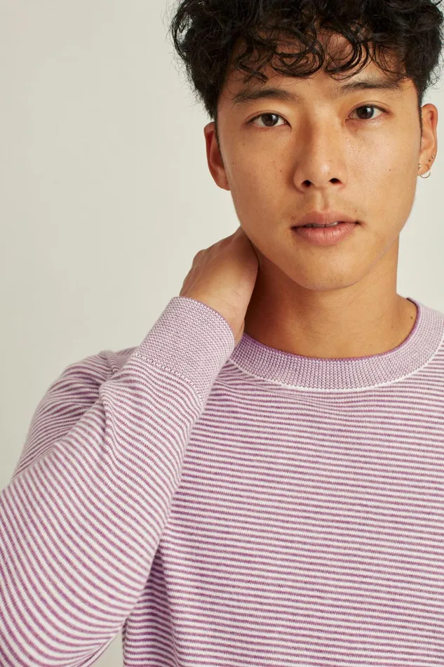 Men Crew and VNeck Sweaters Bonobos Soft Air Novelty Crew Plum Stripe