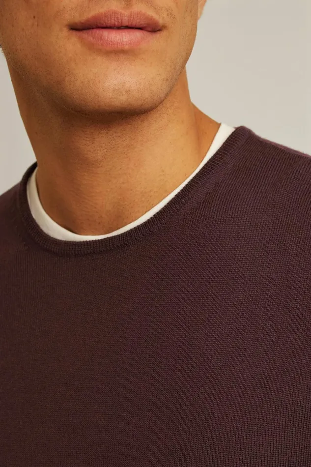 Men Crew and VNeck Sweaters Bonobos Washable Merino Crew Neck Sweater Chocolate Brown