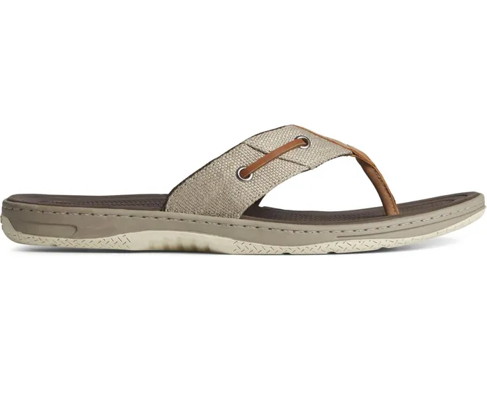 Men SeaCycled Baitfish Baja Flip Flop Taupe Sperry Sandals