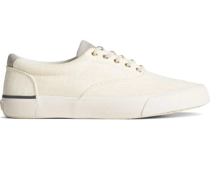 Men SeaCycled Striper II CVO Baja Sneaker Cream Sperry Sneakers