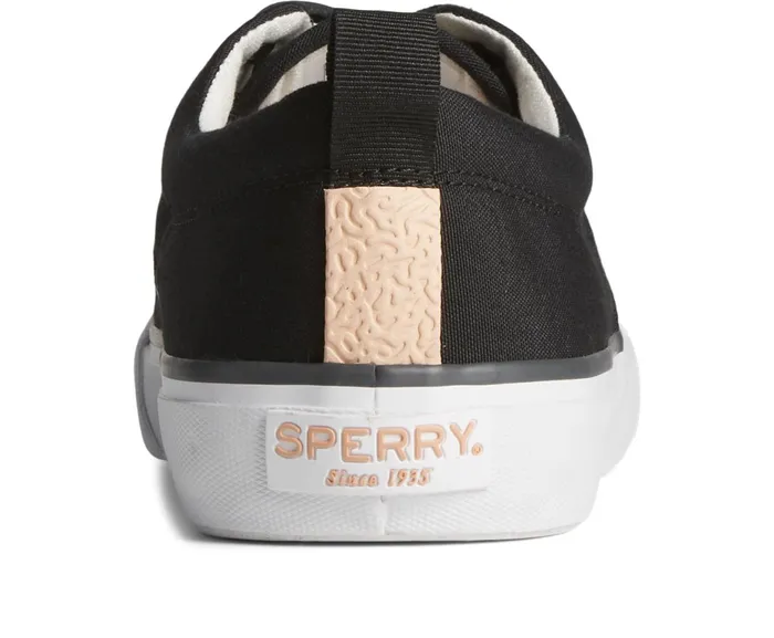 Men SeaCycled Striper II CVO Canvas Sneaker Black Sperry Sneakers Men SeaCycled Striper II CVO Canvas Sneaker Black Sperry Sneakers