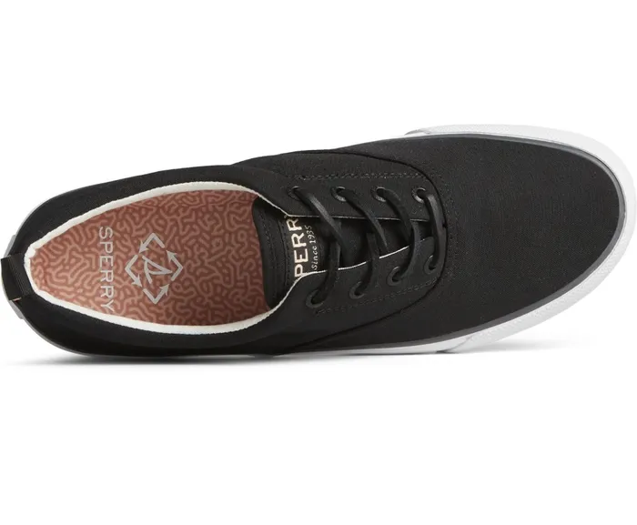 Men SeaCycled Striper II CVO Canvas Sneaker Black Sperry Sneakers Men SeaCycled Striper II CVO Canvas Sneaker Black Sperry Sneakers