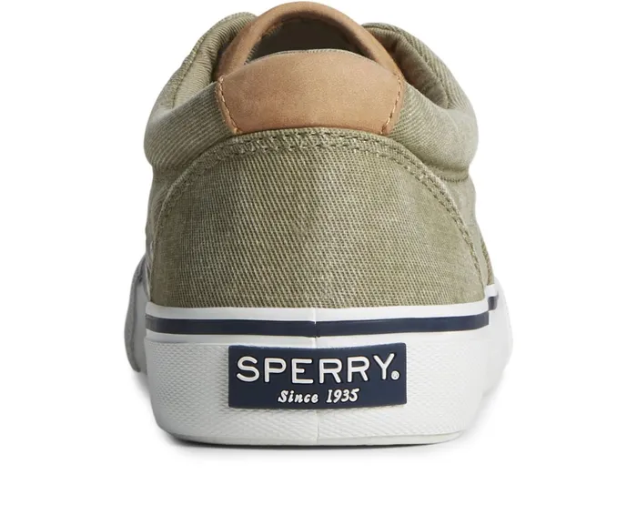 Men SeaCycled Striper II CVO Sneaker Olive Sperry Sneakers Men SeaCycled Striper II CVO Sneaker Olive Sperry Sneakers
