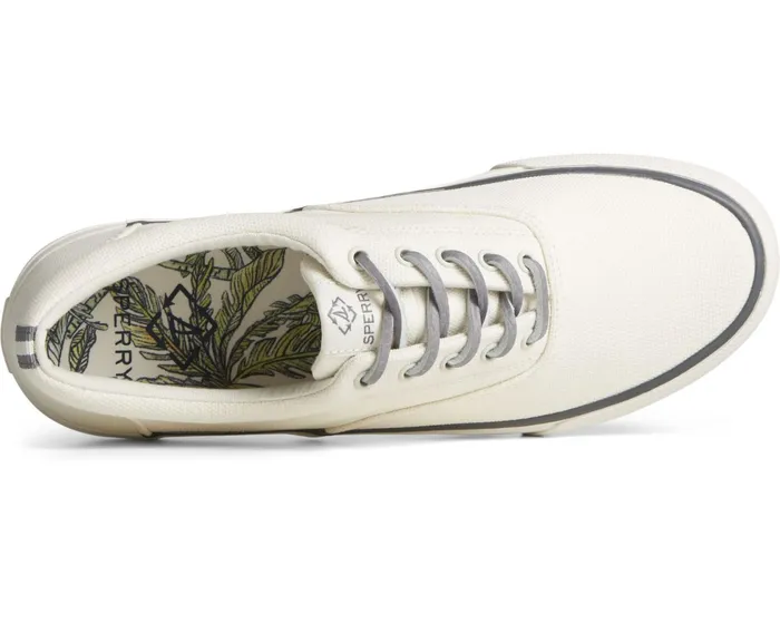 Men SeaCycled Striper II Palm Sneaker Bone White Sperry Sneakers Men SeaCycled Striper II Palm Sneaker Bone White Sperry Sneakers
