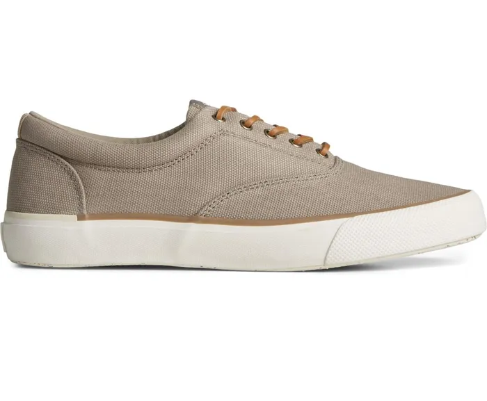 Men SeaCycled Striper II Palm Sneaker Taupe Sperry Sneakers
