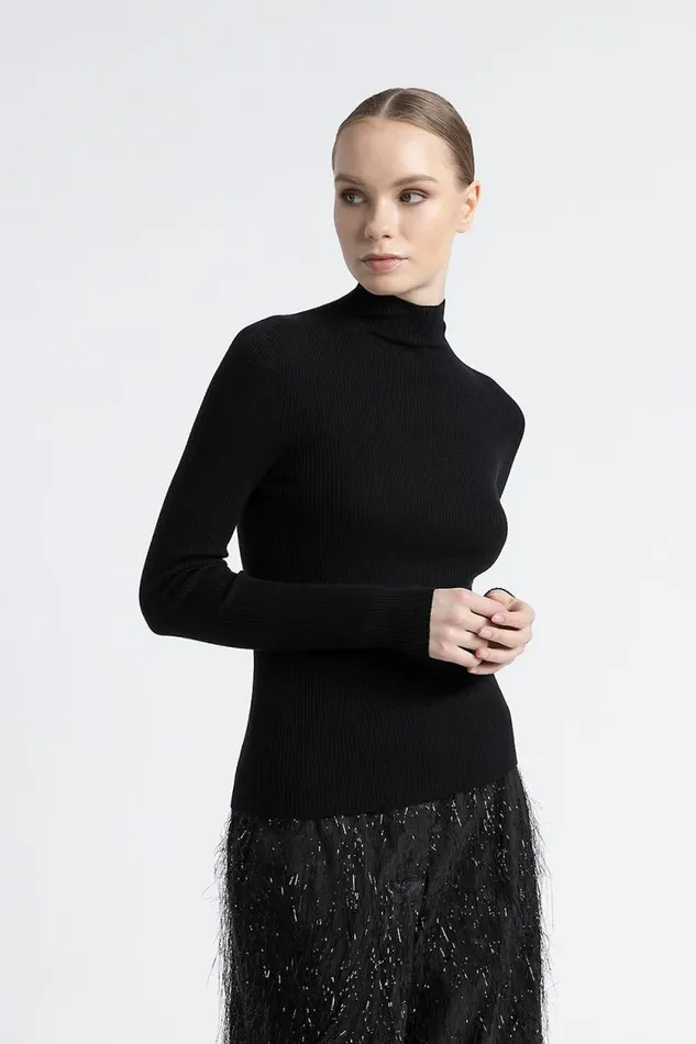 Peserico Knitwear Woman Pure New Wool High Neck Sweater Black