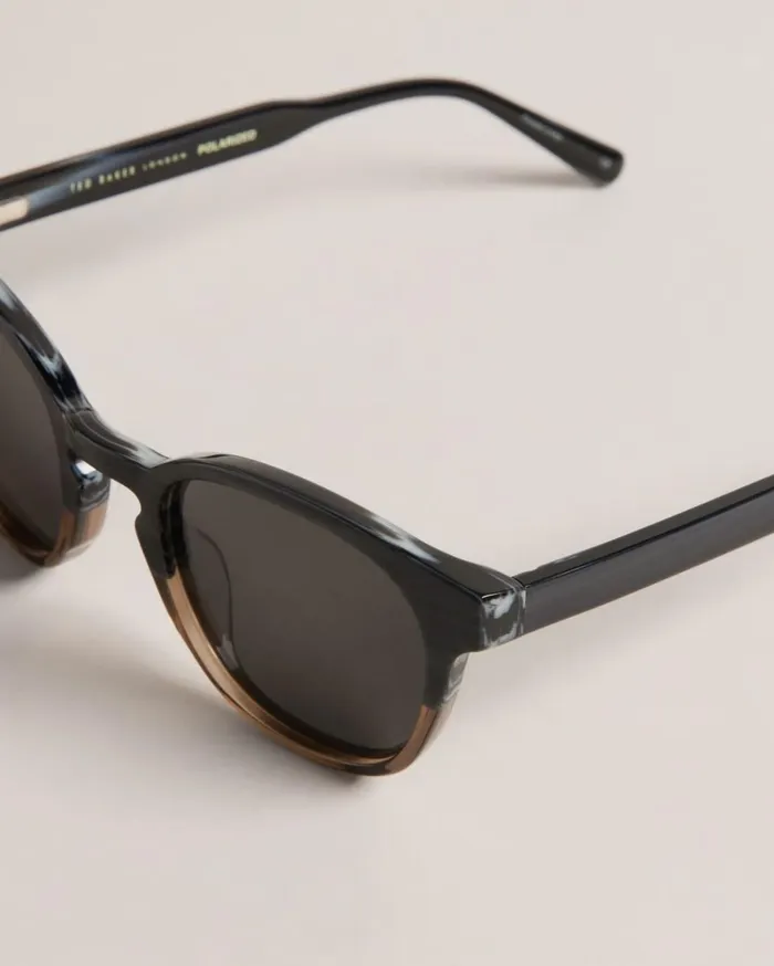Round Colour Block Sunglasses Gray Men Ted Baker Sunglasses Round Colour Block Sunglasses Gray Men Ted Baker Sunglasses