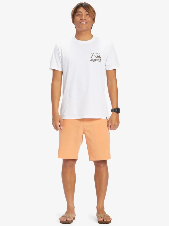 Shorts and Amphibians Men Quiksilver Ocean Union Amphibian 20034 Hybrid Shorts Copper Tan Shorts and Amphibians Men Quiksilver Ocean Union Amphibian 20034 Hybrid Shorts Copper Tan