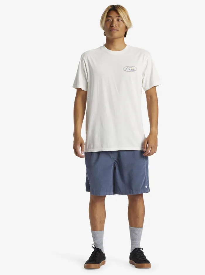 Shorts and Amphibians Men Quiksilver Taxer Cord Shorts Bering Sea Shorts and Amphibians Men Quiksilver Taxer Cord Shorts Bering Sea
