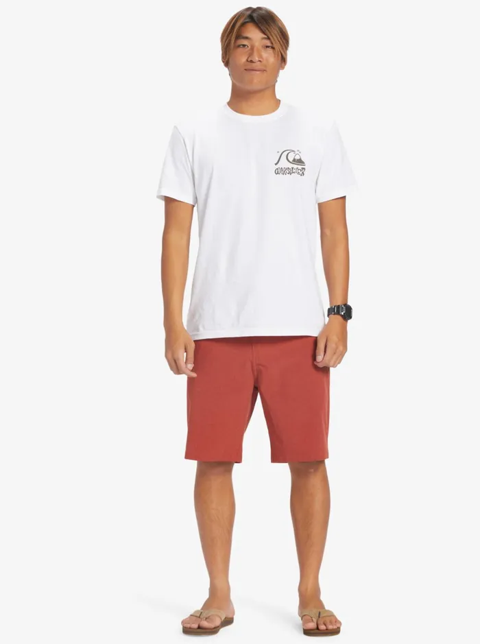 Shorts and Amphibians Men Quiksilver Union Heather 20034 Amphibian Boardshorts For Young Men Red Ochre Shorts and Amphibians Men Quiksilver Union Heather 20034 Amphibian Boardshorts For Young Men Red Ochre