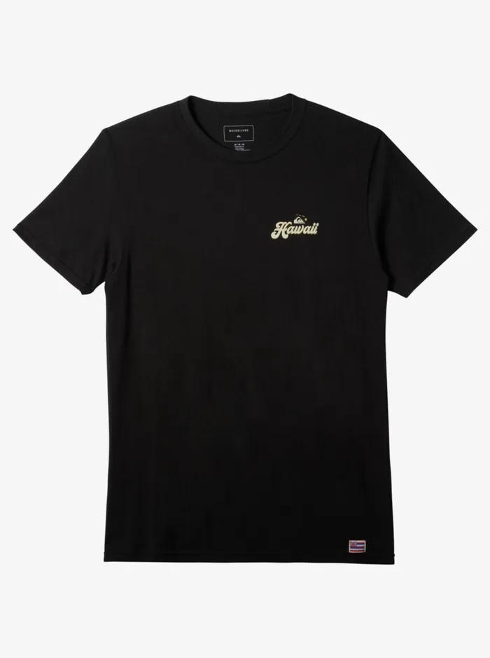 Tees Men Quiksilver Hi Water On The Brain TShirt Black