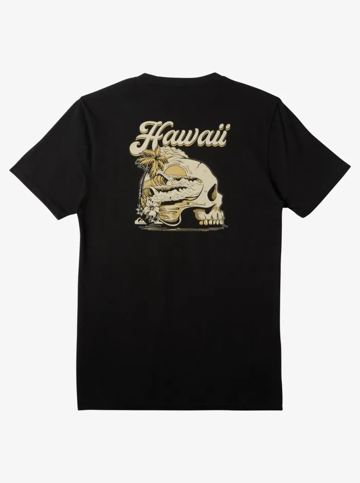 Tees Men Quiksilver Hi Water On The Brain TShirt Black Tees Men Quiksilver Hi Water On The Brain TShirt Black