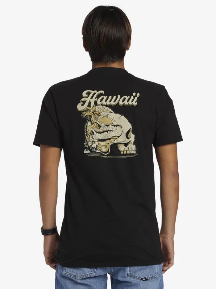 Tees Men Quiksilver Hi Water On The Brain TShirt Black Tees Men Quiksilver Hi Water On The Brain TShirt Black