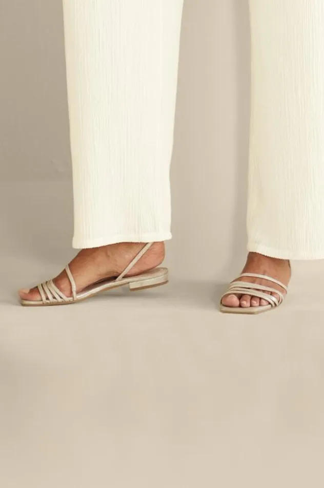 Women Pelle Moda Haize Strappy Sandal Silver Soft Surroundings Shoes Women Pelle Moda Haize Strappy Sandal Silver Soft Surroundings Shoes