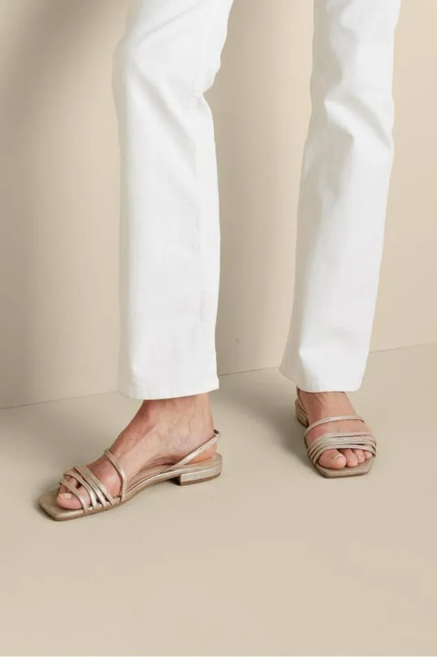 Women Pelle Moda Haize Strappy Sandal Silver Soft Surroundings Shoes Women Pelle Moda Haize Strappy Sandal Silver Soft Surroundings Shoes