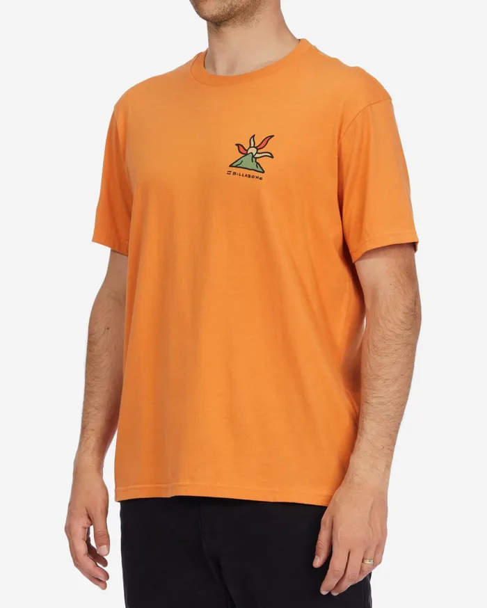 Billabong ADiv Shine Organic Short Sleeve TShirt Apricot Men TShirts Billabong ADiv Shine Organic Short Sleeve TShirt Apricot Men TShirts