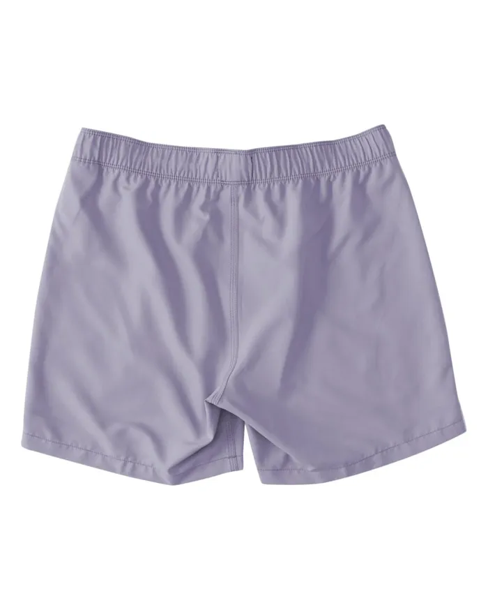 Billabong All Day Layback Boardshorts Lilac Men Elastic Waist Boardshorts Billabong All Day Layback Boardshorts Lilac Men Elastic Waist Boardshorts