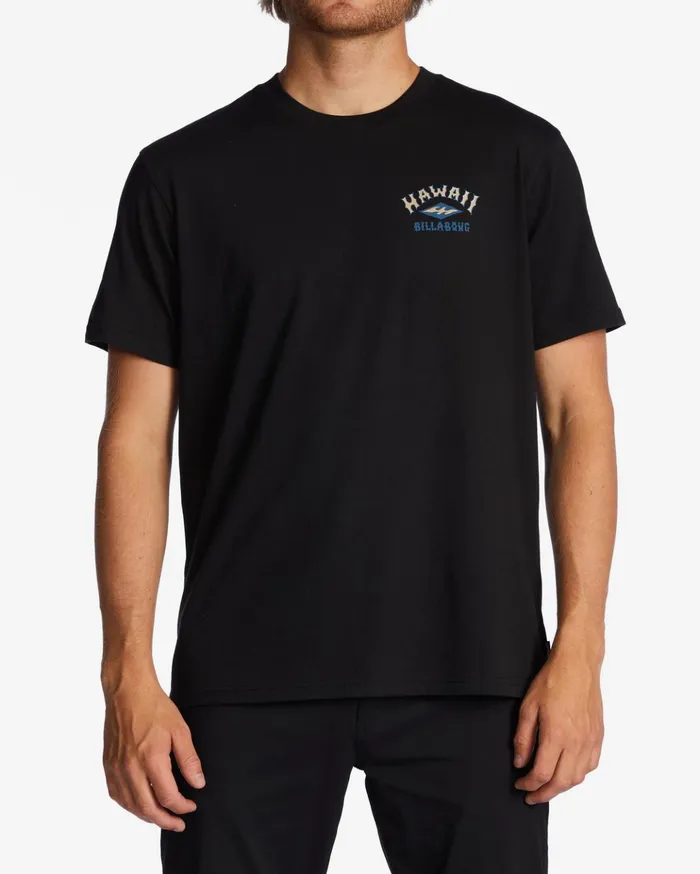 Billabong Hawaii Arch TShirt Black Men TShirts