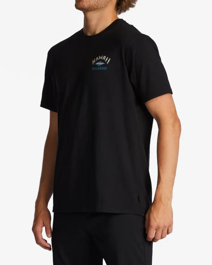 Billabong Hawaii Arch TShirt Black Men TShirts Billabong Hawaii Arch TShirt Black Men TShirts