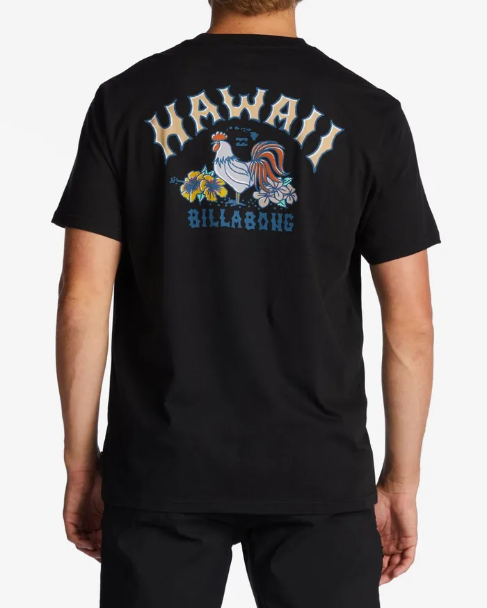 Billabong Hawaii Arch TShirt Black Men TShirts Billabong Hawaii Arch TShirt Black Men TShirts