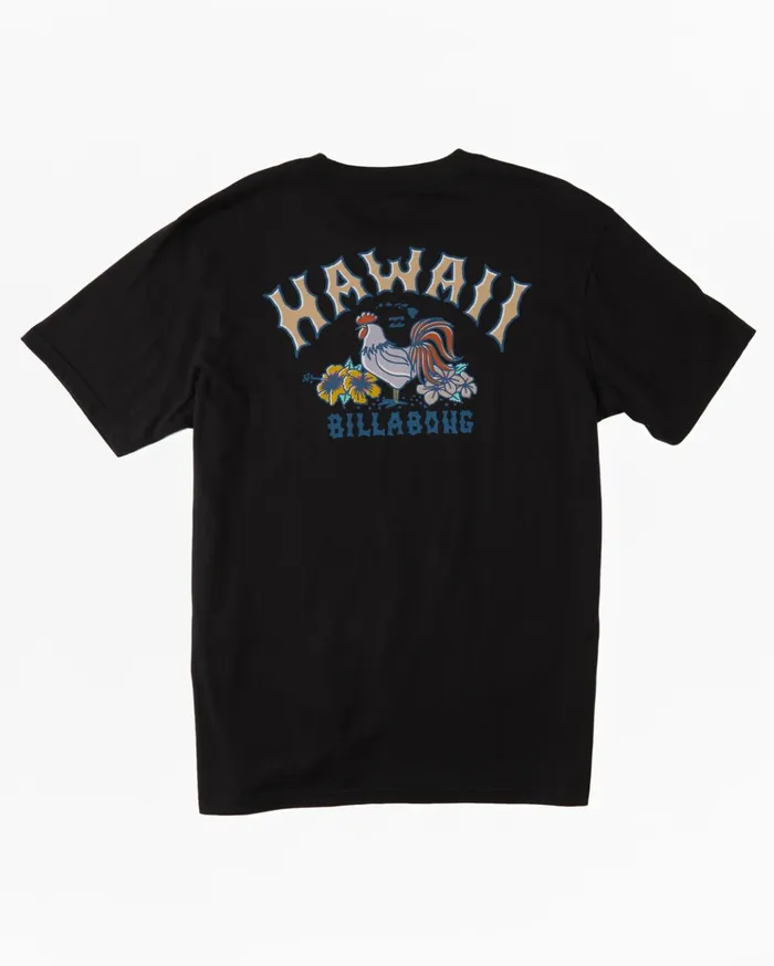 Billabong Hawaii Arch TShirt Black Men TShirts Billabong Hawaii Arch TShirt Black Men TShirts
