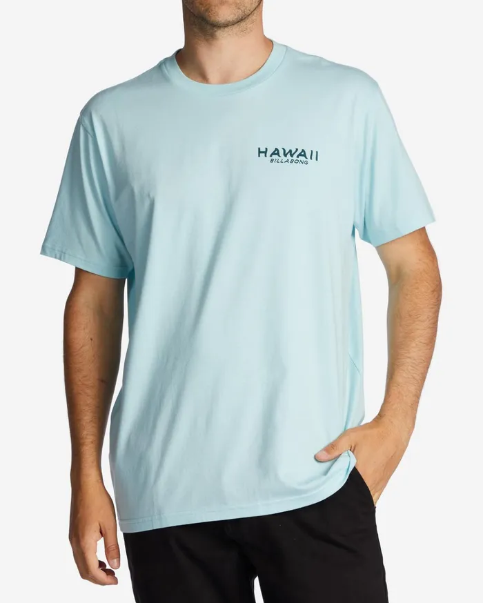 Billabong Hawaii Lookout TShirt Coastal Men TShirts
