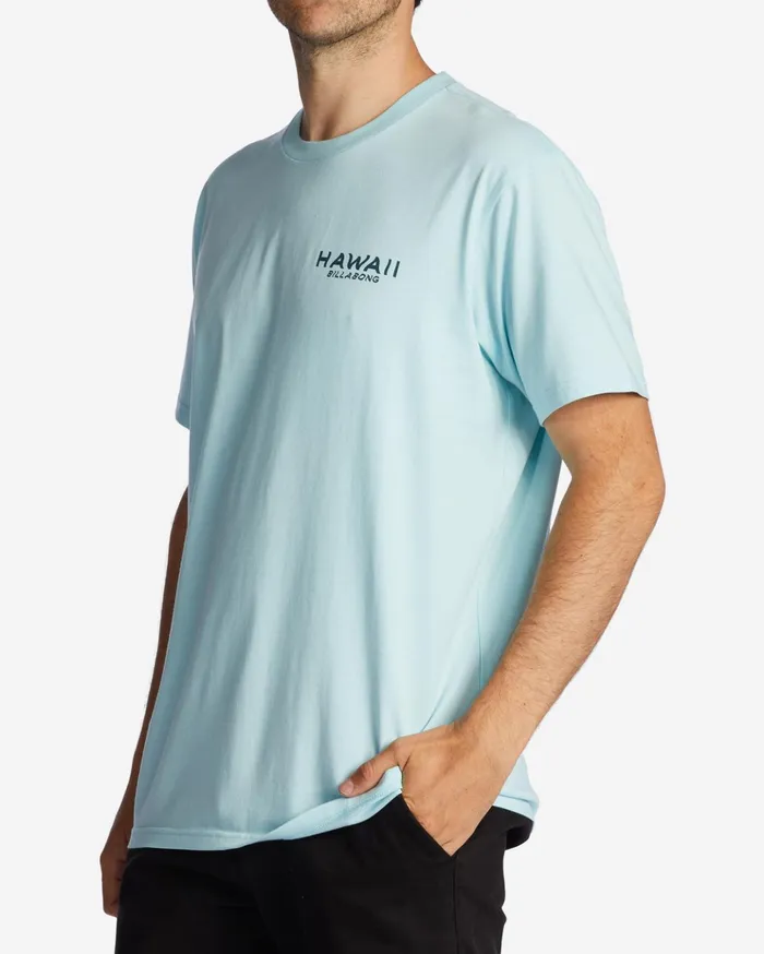 Billabong Hawaii Lookout TShirt Coastal Men TShirts Billabong Hawaii Lookout TShirt Coastal Men TShirts