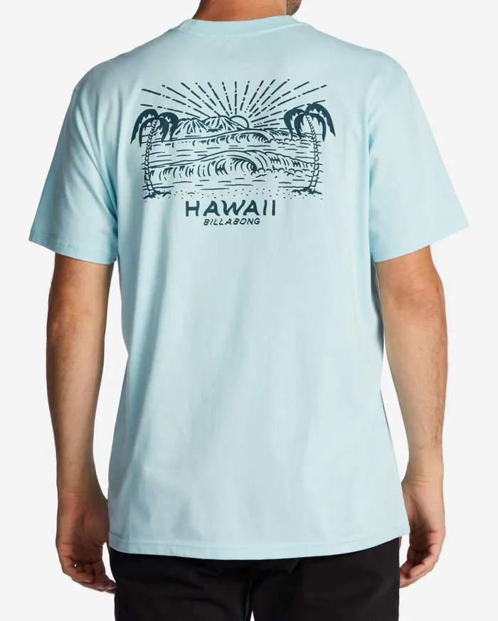 Billabong Hawaii Lookout TShirt Coastal Men TShirts Billabong Hawaii Lookout TShirt Coastal Men TShirts