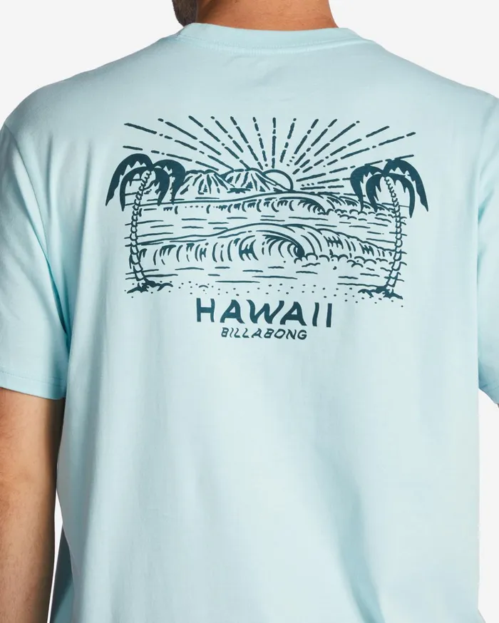 Billabong Hawaii Lookout TShirt Coastal Men TShirts Billabong Hawaii Lookout TShirt Coastal Men TShirts
