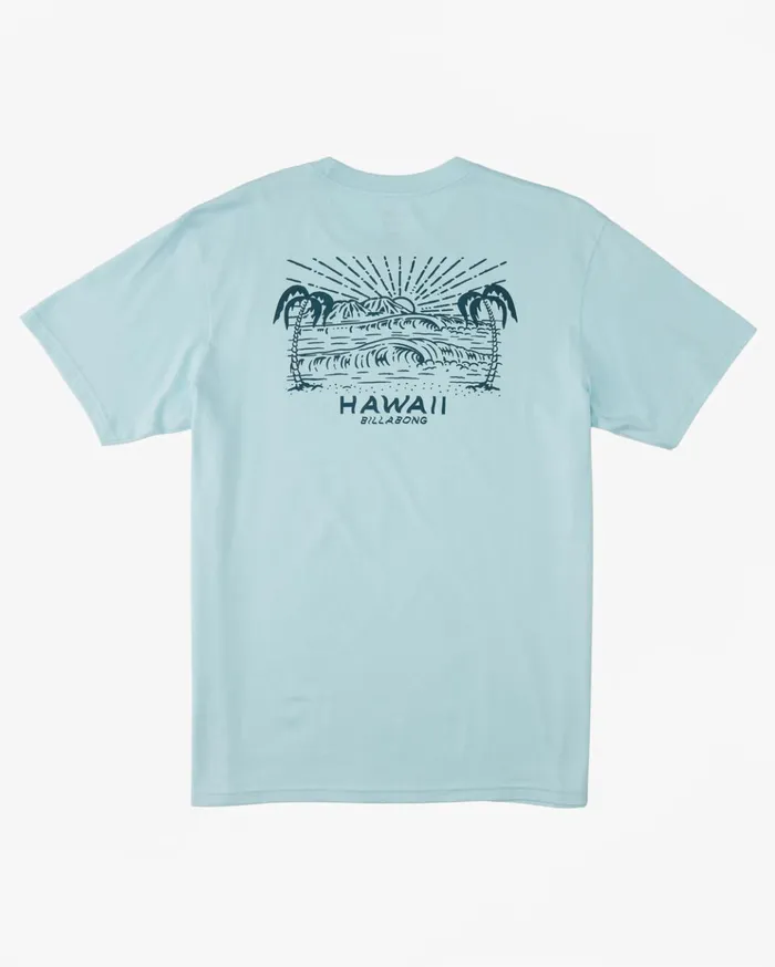 Billabong Hawaii Lookout TShirt Coastal Men TShirts Billabong Hawaii Lookout TShirt Coastal Men TShirts