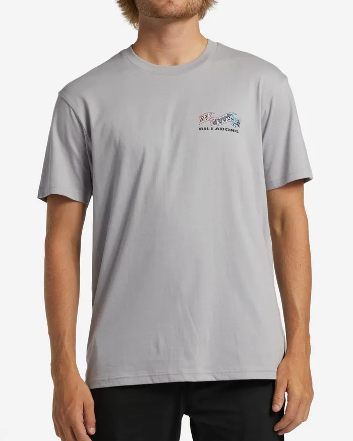 Billabong Segment TShirt Grey Violet Men TShirts