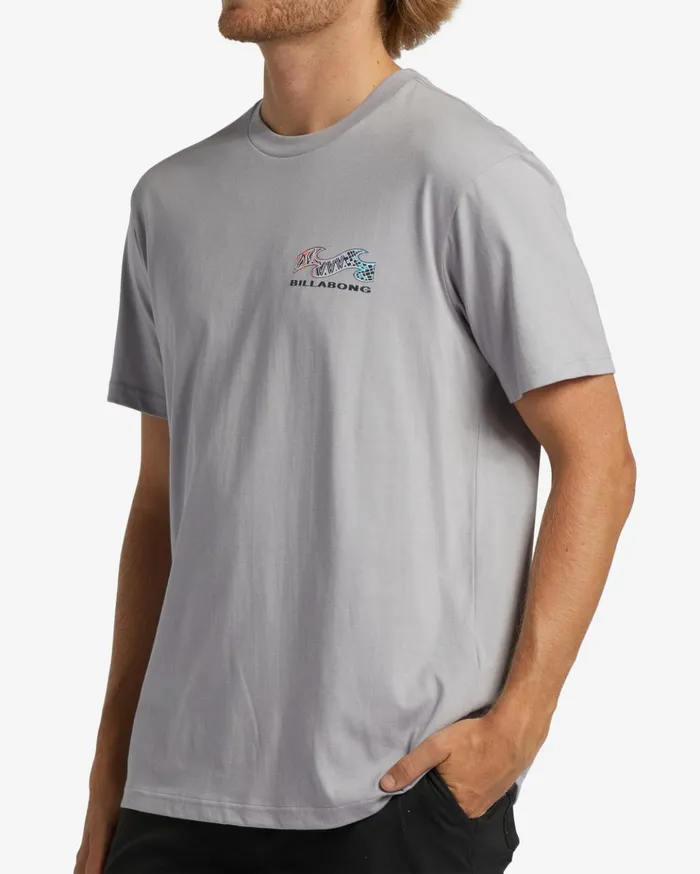 Billabong Segment TShirt Grey Violet Men TShirts Billabong Segment TShirt Grey Violet Men TShirts