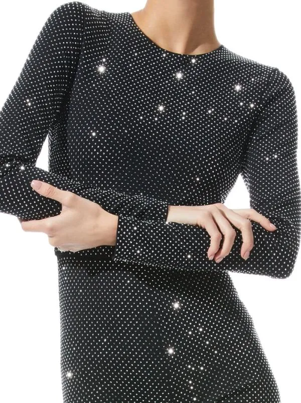 Jumpsuits Women Alice Olivia FREDDIE CREWNECK EMBELLISHED CATSUIT Blacksilver