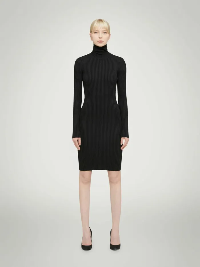 Merino Rib Dress Black Women Wolford Dresses and Skirts