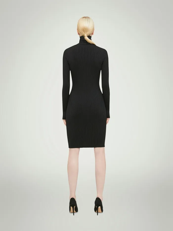 Merino Rib Dress Black Women Wolford Dresses and Skirts