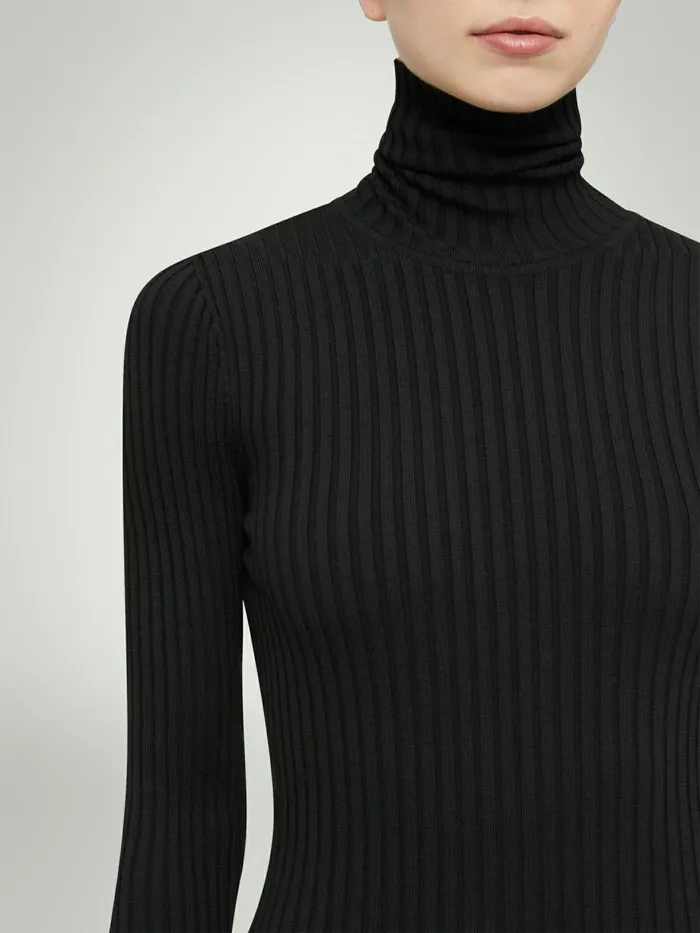 Merino Rib Dress Black Women Wolford Dresses and Skirts