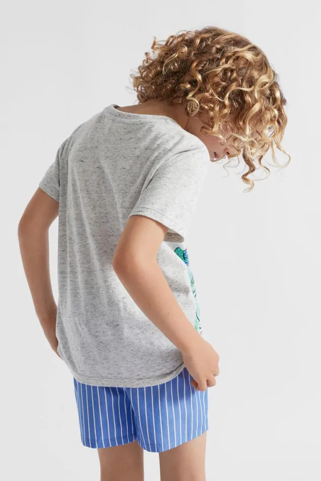 Seed Heritage Pyjamas and Sleepwear Dinosaur Pyjama Cloudy Marle 8211 Boy