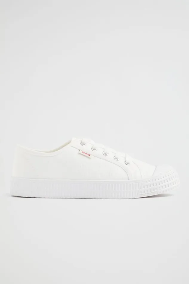 Seed Heritage Sneakers and Trainers Basic Canvas Lace Up Sneaker White 8211 Teen Girl Seed Heritage Sneakers and Trainers Basic Canvas Lace Up Sneaker White 8211 Teen Girl
