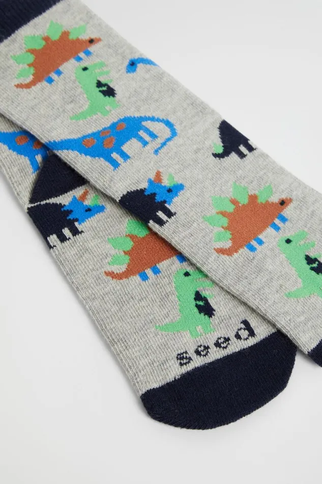 Seed Heritage Socks Dino Sock Multi 8211 Boy
