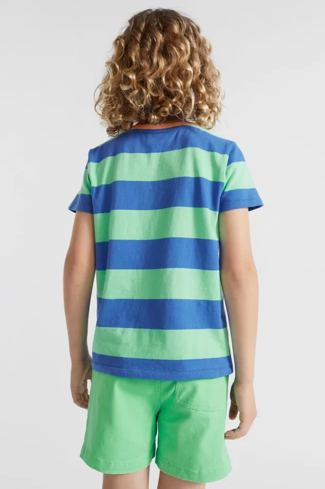 Seed Heritage TShirts and Tops Block Stripe Tee Pine Lime 8211 Boy