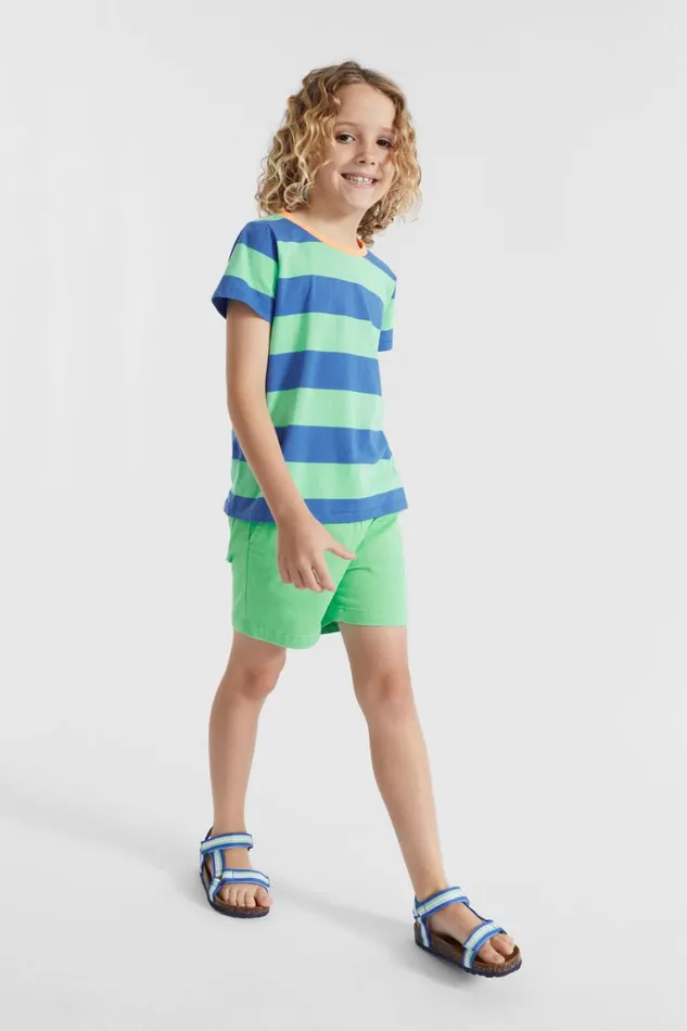 Seed Heritage TShirts and Tops Block Stripe Tee Pine Lime 8211 Boy