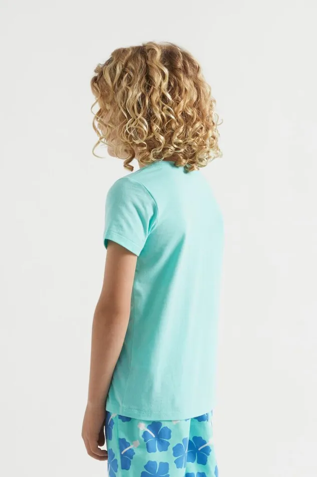 Seed Heritage TShirts and Tops Core Logo Tee Island Green 8211 Boy