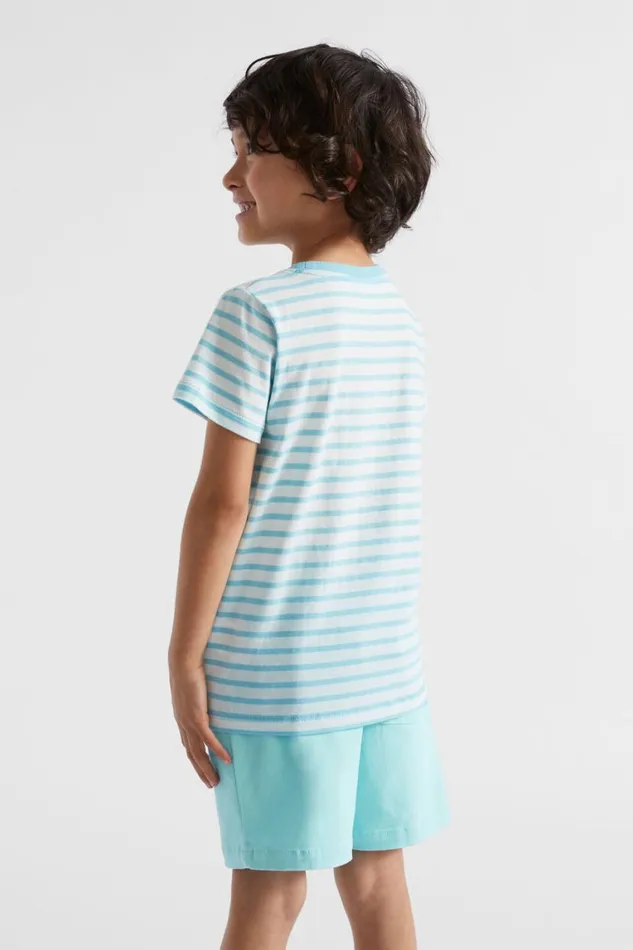 Seed Heritage TShirts and Tops Core Logo Tee Ocean Blue Stripe 8211 Boy