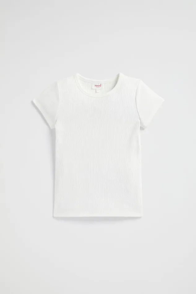 Seed Heritage TShirts and Tops Core Rib Tee Canvas 8211 Girl