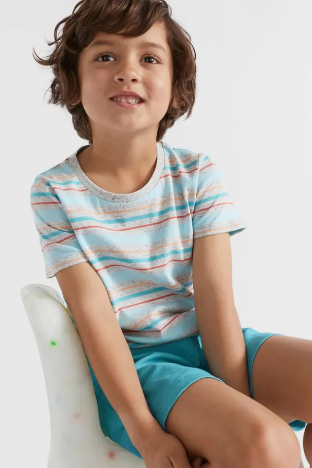 Seed Heritage TShirts and Tops Stripe Tee Cloudy Marle 8211 Boy
