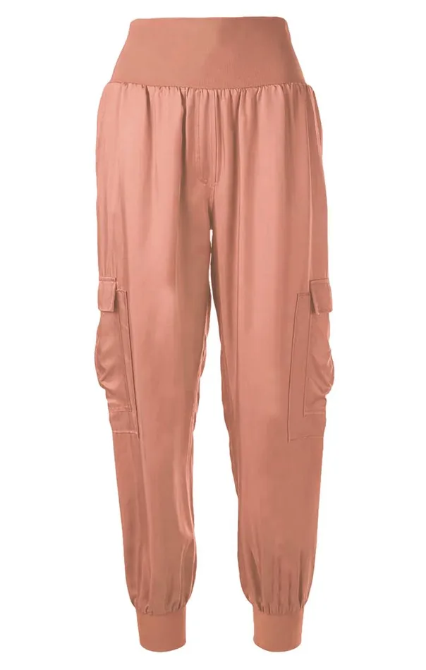 Shop Giles Pant Apricot Cinq Sept Pants