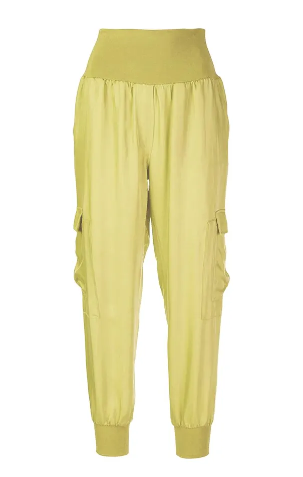 Shop Giles Pant Artichoke Cinq Sept Pants